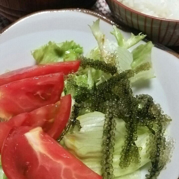 居酒屋レシピ～☆海ぶどうサラダ